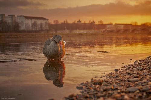 21-01-10-DSC04201-cRAW-SPA