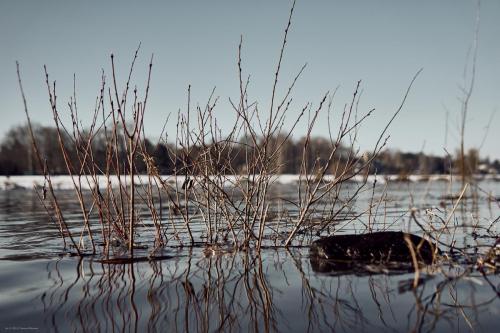 21-01-31-DSC04616-cRAW-SPA