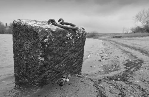 21-03-14-DSC05238-cRAW-SPA