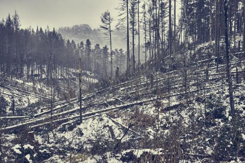 21-03-21-DSC05349-cRAW-SPA