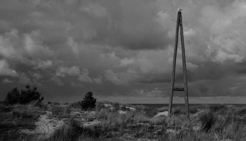 Mast, Darss Beach, Ruegen Island.