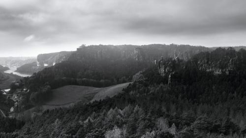 Grey-22-11-13-L1020915-1