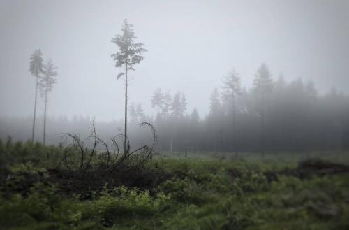 IMG 20210717 230245 081