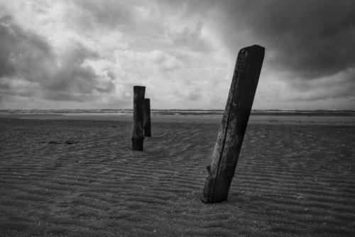 Near Husum, Germany. #1