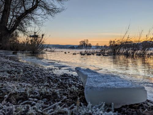 PXL 20210215 062542538.NIGHT 