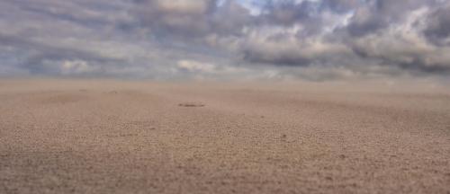 WEB-21-08-30-DSC00402