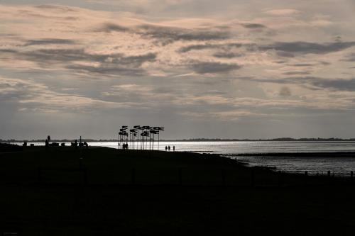 WEB-21-09-02-DSC00085